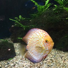 IMG 057